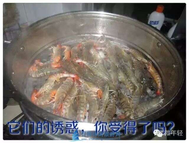 日照渔家乐