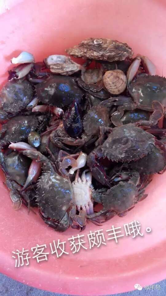 日照渔家乐