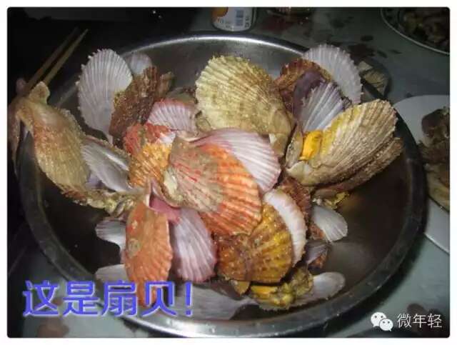 日照渔家乐