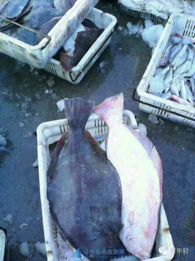 日照渔家乐
